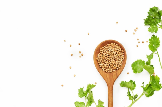 Photo top view or flat lay dry coriander seed spice and leaf or leaves in wood spoon on white background