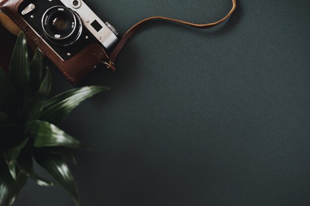 Photo top view of a flat lay film camera in a case lies on a black table next to a plant in a pot