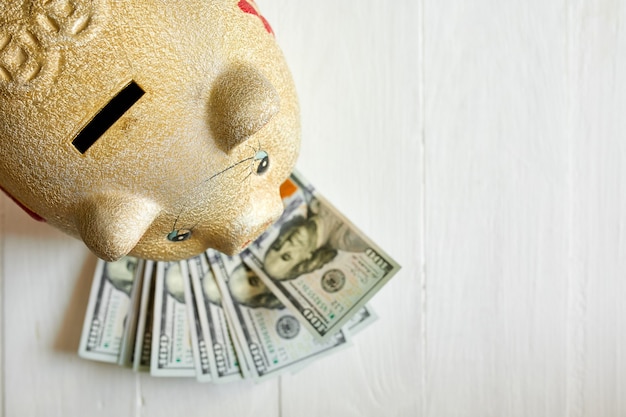 Photo top view flat lay of gold piggy on banknote dollars money on white background, savings concept. copy space.