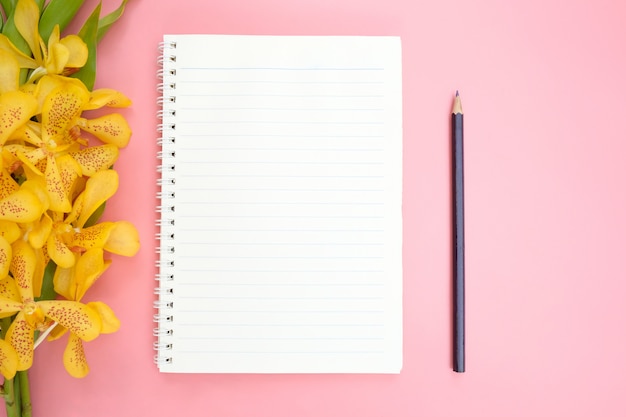 Top view or flat lay of open notebook paper on pink.