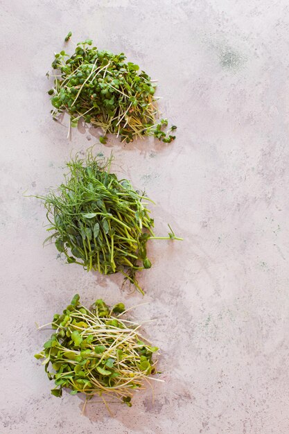 Top view flat lay three small bunches of different microgreens Chickpea basil and arugula sprouts on light murble surface Healthy eating concept