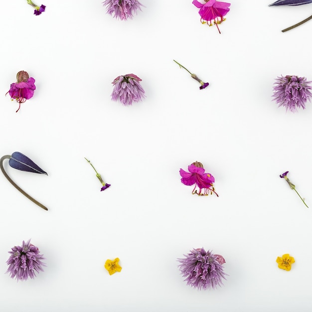 Top view of a flower composition on a white background