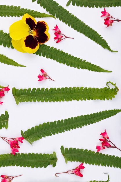 Top view of a flower composition on a white surface