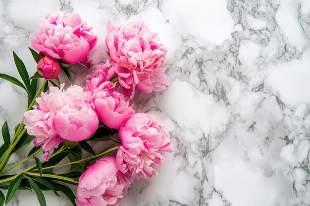 Foto vista superiore di peonie rosa fiorite su uno sfondo di marmo