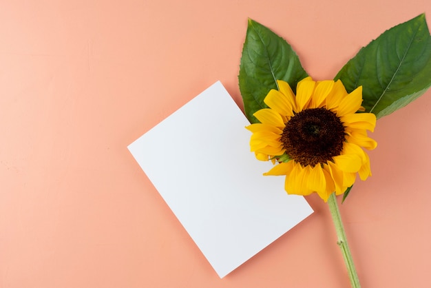 Photo top view of flower with blank card