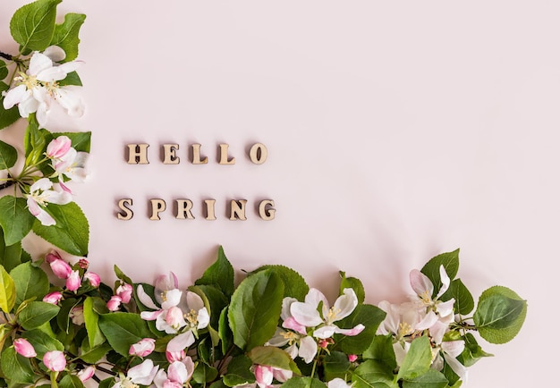 Top view of the flowering branches of an apple tree and wooden letters with the text hello spring on a pink background flat lay frame postcard