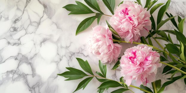 Top view flowers decoration on a marble background Flat lay Minimal