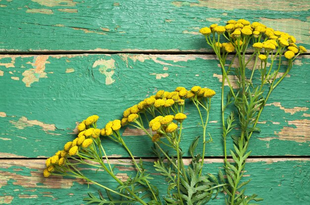 Top view on flowers of tansy on a old wooden table