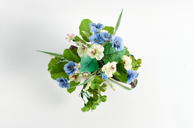 Top view of flowers on white background