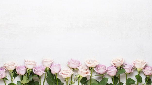 Foto fiori di vista dall'alto con lo spazio della copia