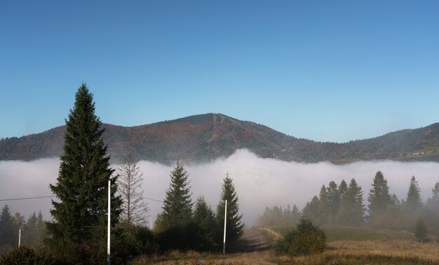 Top View of foggy valley in Carpathian mountains in Ukraine