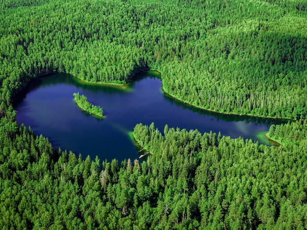 Top view of a forest lake.