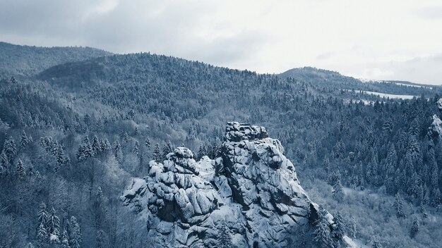 Photo top view of forest river in winter. the concept of winter tourism.