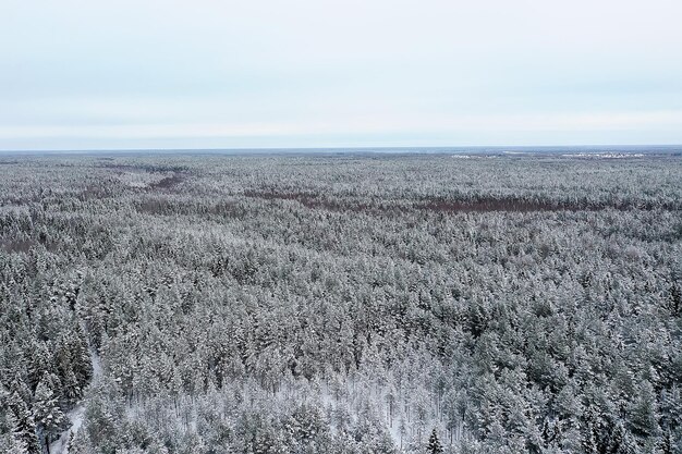 冬の森の平面図、雪に覆われた森の自然の風景、エアロ写真