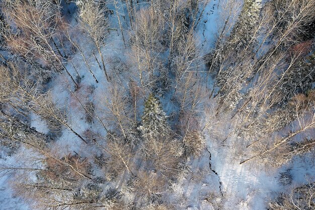 冬の森の平面図、雪に覆われた森の自然の風景、エアロ写真