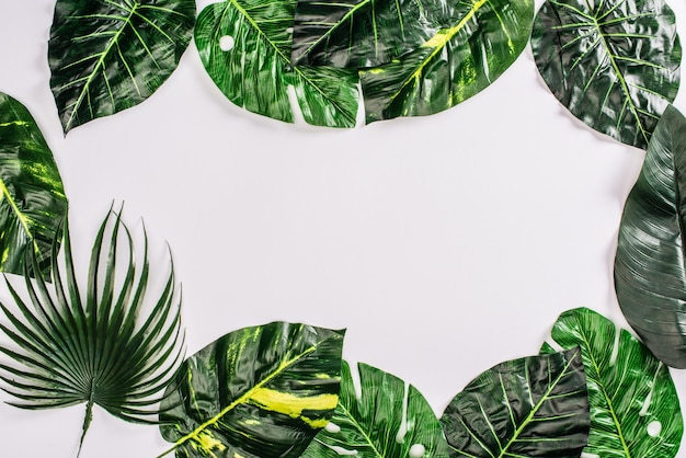 Top view of frame from leaves of tropical plants on white surface