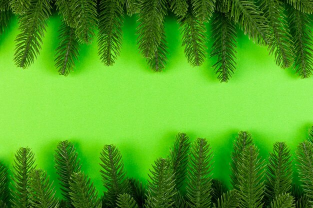 Top view of frame made of fir tree on colorful background with copy space. Merry Christmas concept.