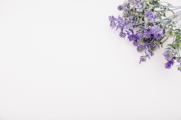 Top view frame with purple flowers and copy-space