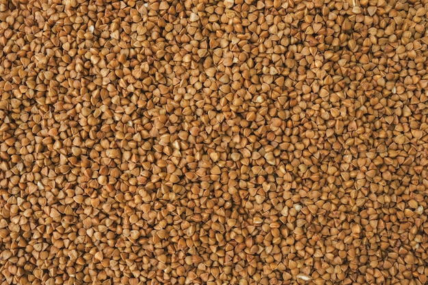 Top view of fresh buckwheat for background.