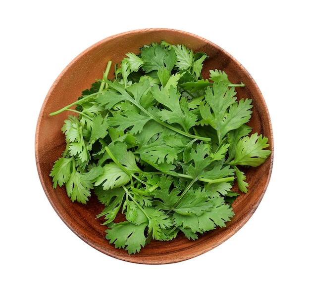 Top view of fresh coriander leaves in wooden bowl on white background.