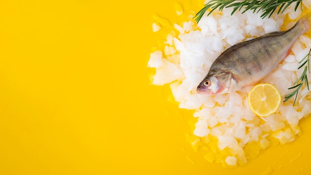 Top view fresh fish with ice cubes and lemon