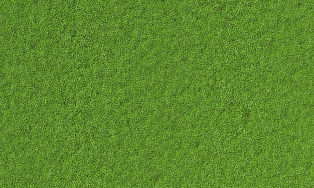 Top view of fresh green grassy background Nature and wallpaper concept 3D illustration rendering