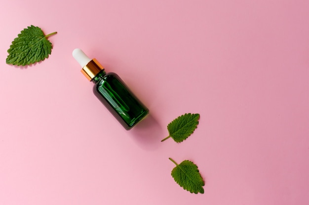 Vista dall'alto di menta verde fresca o foglie di menta verde e flaconi contagocce in vetro di olio essenziale di menta su sfondo rosa. concetto di pianta aromatica medica a base di erbe naturale.