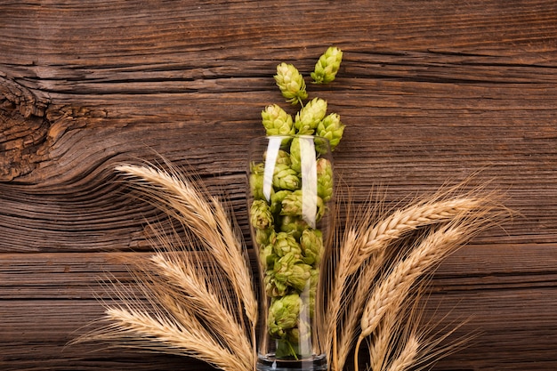 Foto vista dall'alto luppolo fresco in un bicchiere di birra