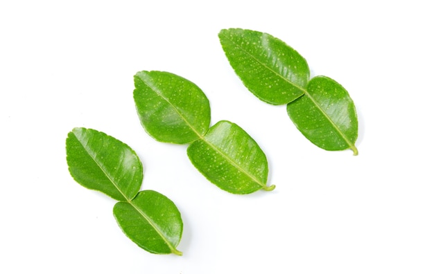 Top view of fresh lime leaves on white background