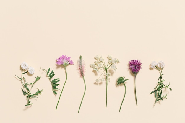 Top view fresh meadow flowers and grass on pale pink color background Summer field plants