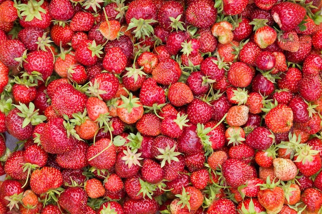 Top view on fresh organic strawberry Summer berries background