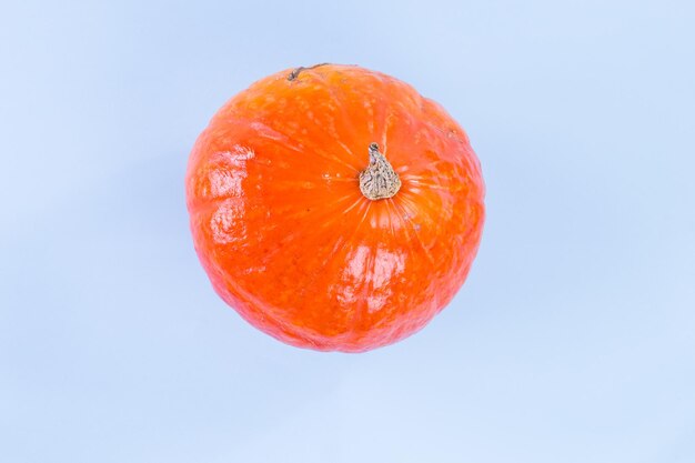 Top view of a fresh raw pumpkin on a blue background
