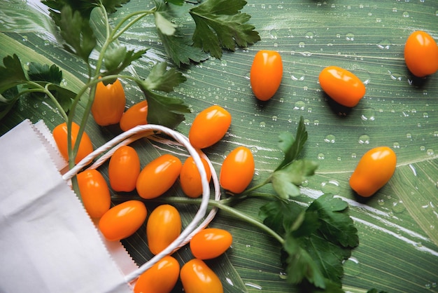 Top view on fresh yellow orange cherry tomatoes in white paper bag on green leaves background