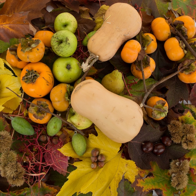 Foto vista dall'alto dei frutti dell'autunno