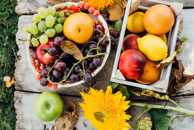 Photo top view of fruits in a basket