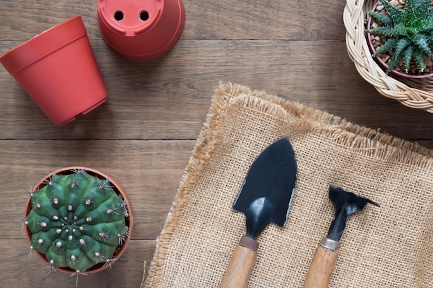 Top view garden tools and cactus plant on wooden table