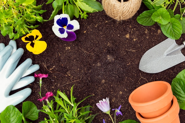 Strumenti e piante di giardinaggio di vista superiore su suolo con lo spazio della copia