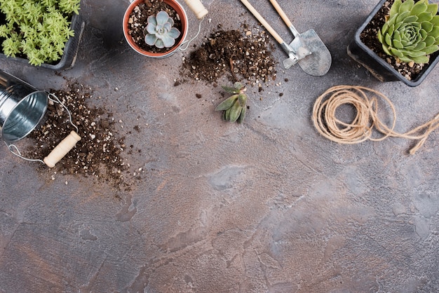 Top view of gardening tools with copy space