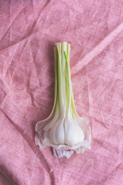 Top view garlic on pink cloth