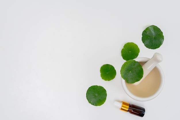 Top view glass beaker containing water and Centella asiatica decorated with erlenmeyer