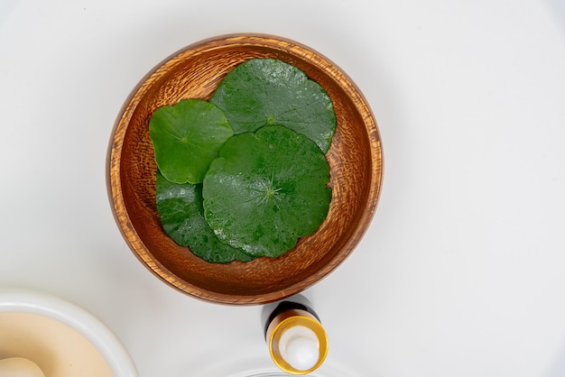 Top view glazen beker met water en Centella asiatica versierd met erlenmeyer