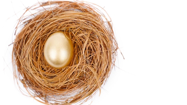 Top view of golden egg on the nest in studio