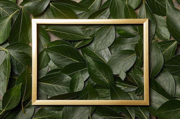 top view of golden frame on green leaves background with copy space