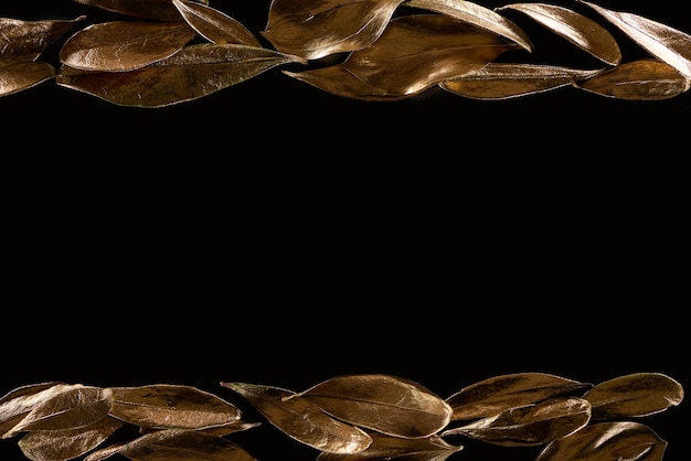 Top view of golden metal decorative leaves isolated on black