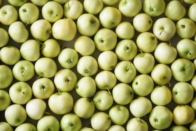 Top view of green apple Background concept copy space macro