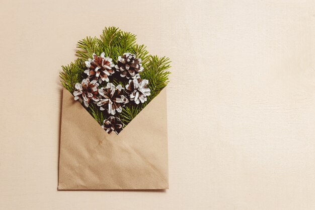 Top view green fir tree branches and cones in brown craft envelope