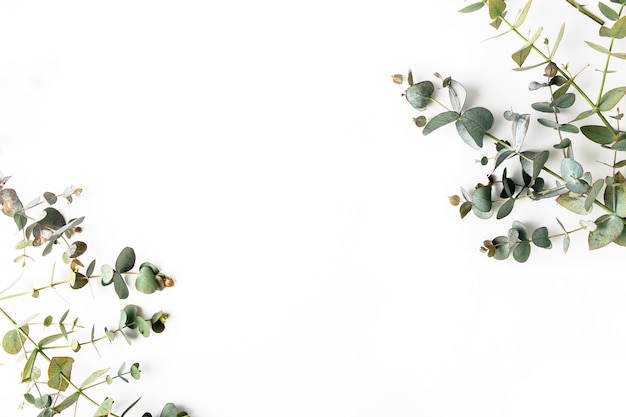 Top view of green leaves