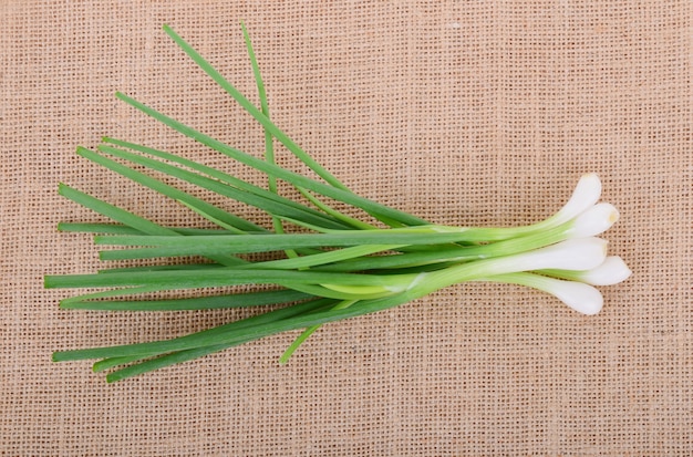 Top view of green onion on the sack background
