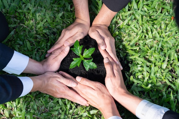 기업인의 상위 뷰 그룹은 CO2 배출을 줄이는 CSR 기업의 사회적 책임 원칙에 전념하는 친환경 회사의 비옥한 토양 개념에서 함께 식물을 성장시키고 육성합니다.