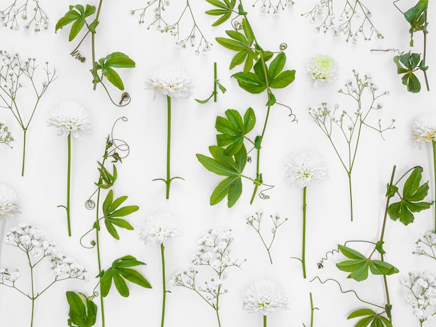 Top view group of leaves and flowers